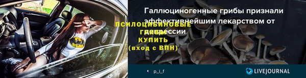 молекула духа Алексеевка