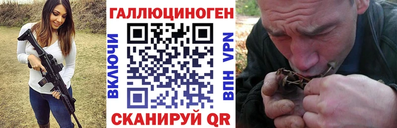 магазин продажи   Цимлянск  Галлюциногенные грибы Magic Shrooms 